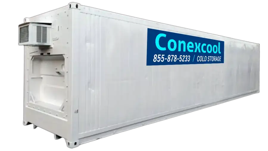 40ftinsulated.png 40ft Insulated Shipping Container - Image 1